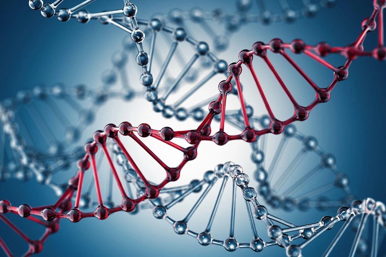 数据或成“生物炸弹”原料 跨国合作中的生物数据泄露风险与网络信息安全防护策略